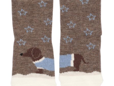 MELTON Denver Melange Dachshund socks Supply