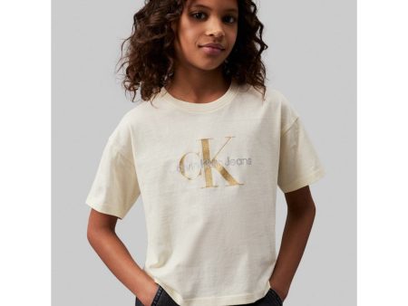 Calvin Klein Afterglow Glitter Monogram Boxy T-Shirt Online Hot Sale