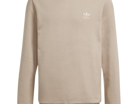 adidas Originals Magbei Crew Collegegenser Online Sale